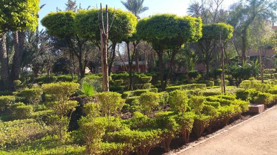 Cyber Parc Arsat Moulay Abdeslam